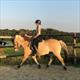 Equestrian Jobseeker Profile Photo