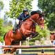 Equestrian Jobseeker Profile Photo