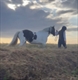 Equestrian Jobseeker Profile Photo