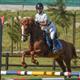 Equestrian Jobseeker Profile Photo