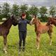 Equestrian Jobseeker Profile Photo