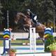 Equestrian Jobseeker Profile Photo