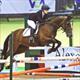 Equestrian Jobseeker Profile Photo