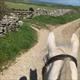 Equestrian Jobseeker Profile Photo