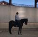 Equestrian Jobseeker Profile Photo