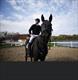 Equestrian Jobseeker Profile Photo
