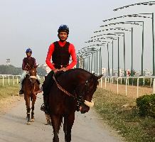 Equestrian Jobseeker Profile Photo