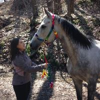 Equestrian Jobseeker Profile Photo