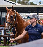 Equestrian Jobseeker Profile Photo
