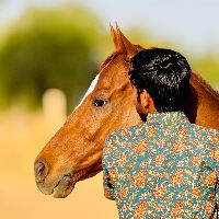 Equestrian Jobseeker Profile Photo