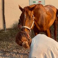 Equestrian Jobseeker Profile Photo