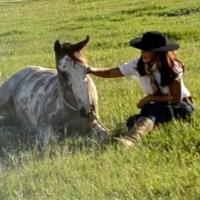 Equestrian Jobseeker Profile Photo