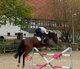 Equestrian Jobseeker Profile Photo
