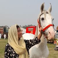 Equestrian Jobseeker Profile Photo