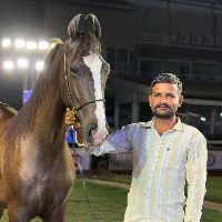 Equestrian Jobseeker Profile Photo