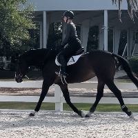 Equestrian Jobseeker Profile Photo