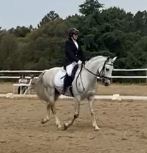 Equestrian Jobseeker Profile Photo