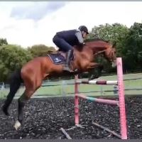 Equestrian Jobseeker Profile Photo