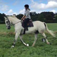 Equestrian Jobseeker Profile Photo