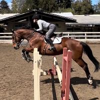 Equestrian Jobseeker Profile Photo