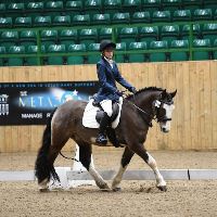 Equestrian Jobseeker Profile Photo