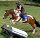 Equestrian Jobseeker Profile Photo