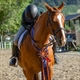 Equestrian Jobseeker Profile Photo