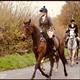 Equestrian Jobseeker Profile Photo