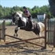 Equestrian Jobseeker Profile Photo