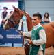 Equestrian Jobseeker Profile Photo