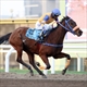 Equestrian Jobseeker Profile Photo