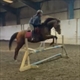 Equestrian Jobseeker Profile Photo