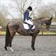 Equestrian Jobseeker Profile Photo