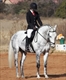 Equestrian Jobseeker Profile Photo