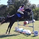 Equestrian Jobseeker Profile Photo