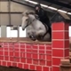 Equestrian Jobseeker Profile Photo