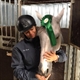 Equestrian Jobseeker Profile Photo