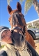 Equestrian Jobseeker Profile Photo