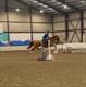 Equestrian Jobseeker Profile Photo