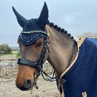 Equestrian Jobseeker Profile Photo