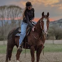 Equestrian Jobseeker Profile Photo