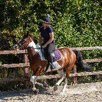 Equestrian Jobseeker Profile Photo