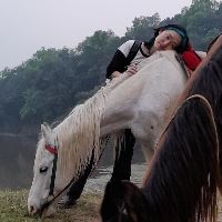 Equestrian Jobseeker Profile Photo