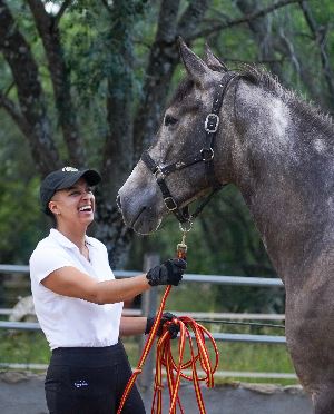 Equestrian Jobseeker Profile Photo