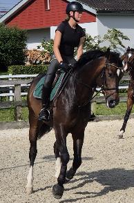 Equestrian Jobseeker Profile Photo