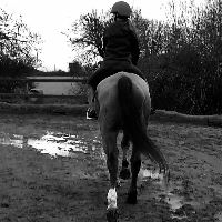 Equestrian Jobseeker Profile Photo