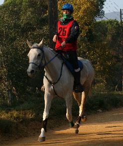 Equestrian Jobseeker Profile Photo