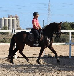 Equestrian Jobseeker Profile Photo