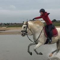 Equestrian Jobseeker Profile Photo