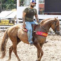 Equestrian Jobseeker Profile Photo